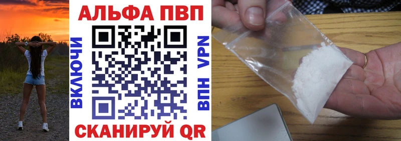 A PVP СК  Выборг 