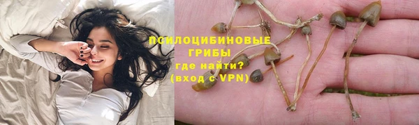 ПСИЛОЦИБИНОВЫЕ ГРИБЫ Бородино