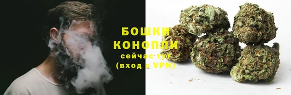 ПСИЛОЦИБИНОВЫЕ ГРИБЫ Бородино