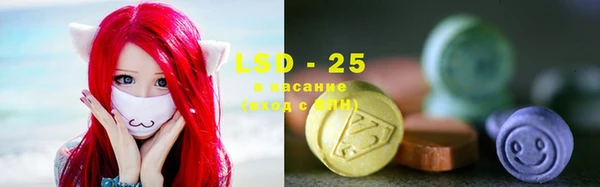 ПСИЛОЦИБИНОВЫЕ ГРИБЫ Бородино