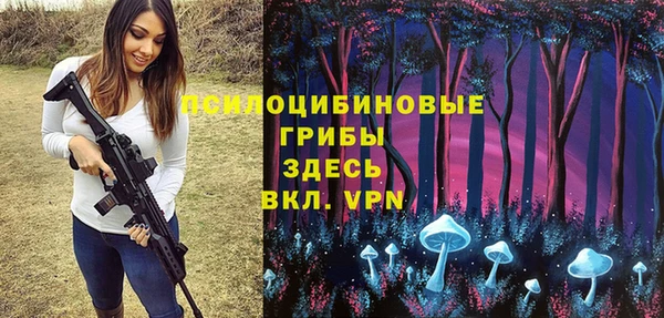 ПСИЛОЦИБИНОВЫЕ ГРИБЫ Бородино