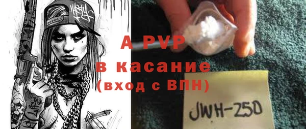 ПСИЛОЦИБИНОВЫЕ ГРИБЫ Бородино