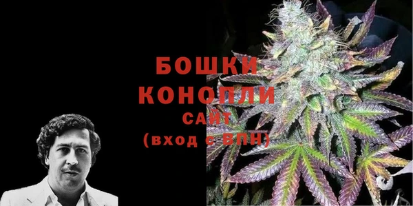 ПСИЛОЦИБИНОВЫЕ ГРИБЫ Бородино