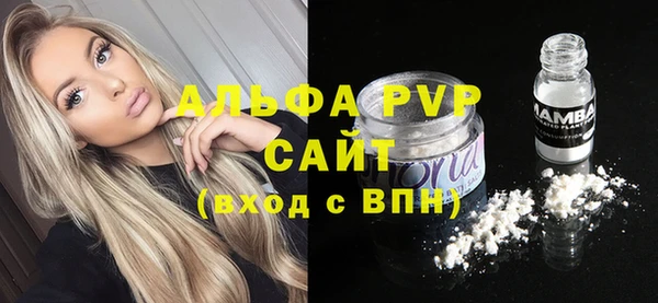 ПСИЛОЦИБИНОВЫЕ ГРИБЫ Бородино
