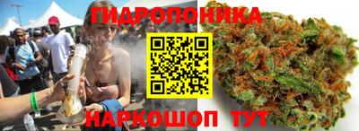 мдпв Ликино-Дулёво