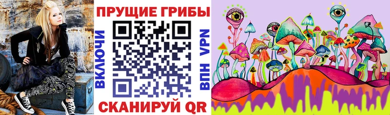 Галлюциногенные грибы GOLDEN TEACHER  МЕГА tor  Выборг 