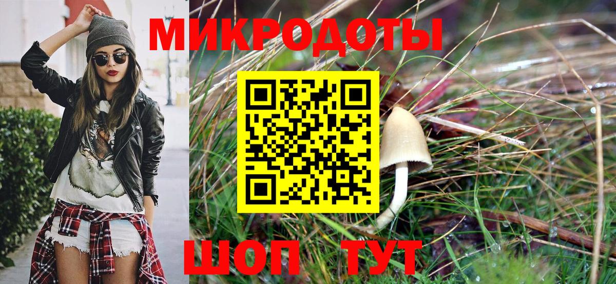 Псилоцибиновые грибы Cubensis  Вход с VPN  Выборг 