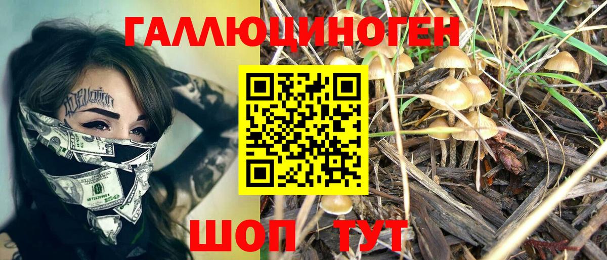 Галлюциногенные грибы Cubensis Выборг