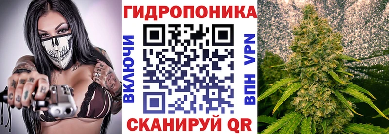 МАРИХУАНА конопля Выборг